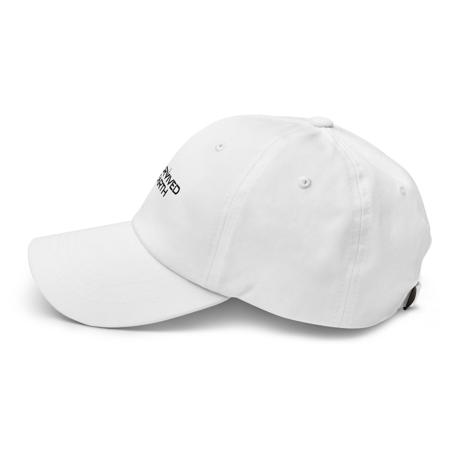 I Survived Earth - Hat - Image 4